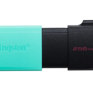 KINGSTON 256GB DataTraveler Exodia M